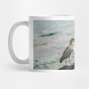 Black-crowned night heron of hawaii 4 Mug